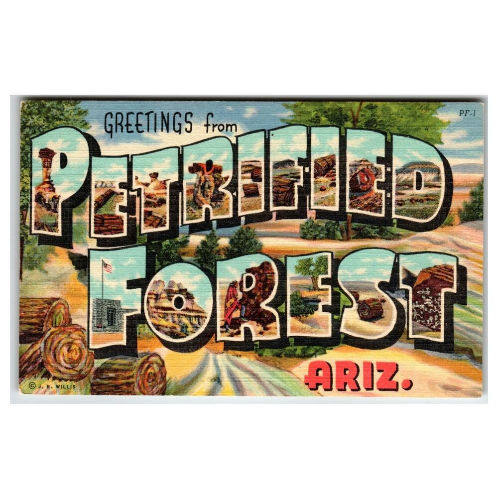 Greetings from Petrified Forest Arizona Big Letter Postcard Curteich